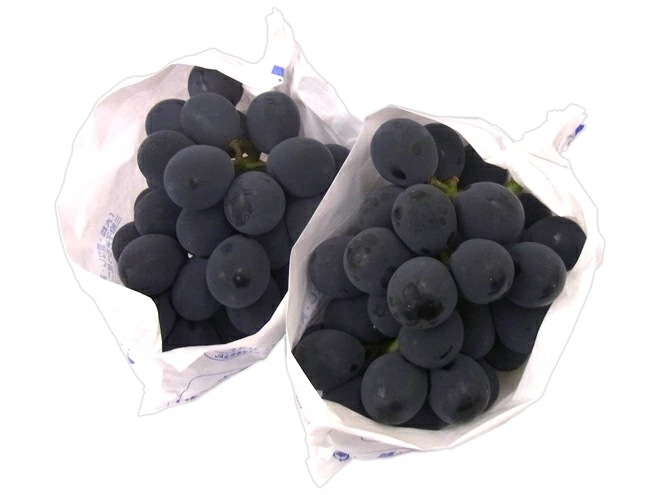 岡山産 種なしぶどう =ニューピオーネ= 秀品 特大2房 約1.5kg 予約 7月下旬以降
