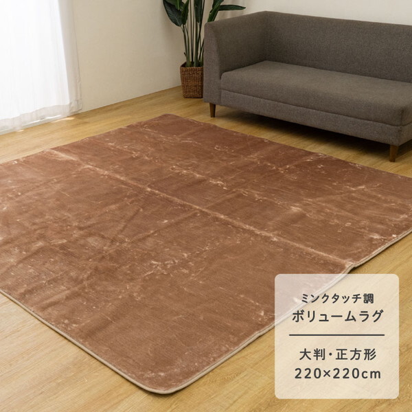 1280500020903 cpウェンデル 大判正方形 BE 220×220 ベージュ カーペット (ボリュームラグ) メーカー直送