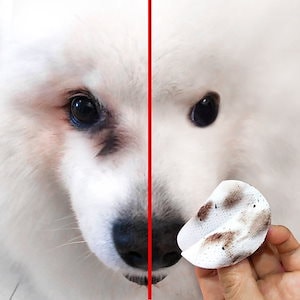 ペットの目のおしぼり犬比熊猫薩摩耶ペットの目の目やに掃除用品涙の跡拭きシート