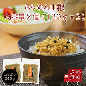 ちりめん佃煮　ちりめん山椒120g2個セット【R】　メール便 おにぎり ちりめん 佃煮 お弁当