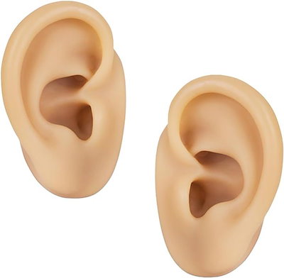 耳の耳 Qoo10] シリコン 耳模型 左右セット 耳モデル : おもちゃ・知育