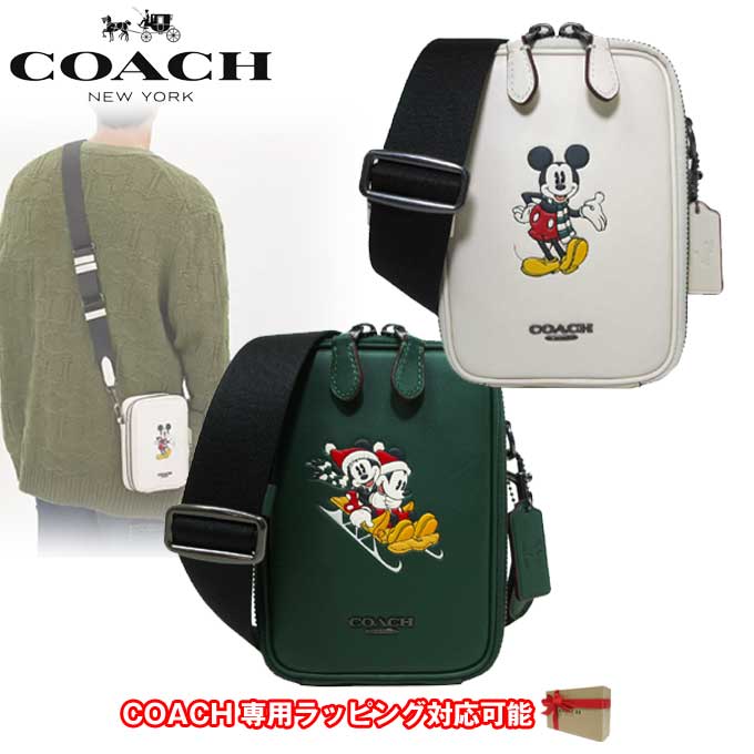 ディズニー コラボ ウィンター柄 スタントン アウトレット CM028 QBCAH / QBPLB 【国内即送】