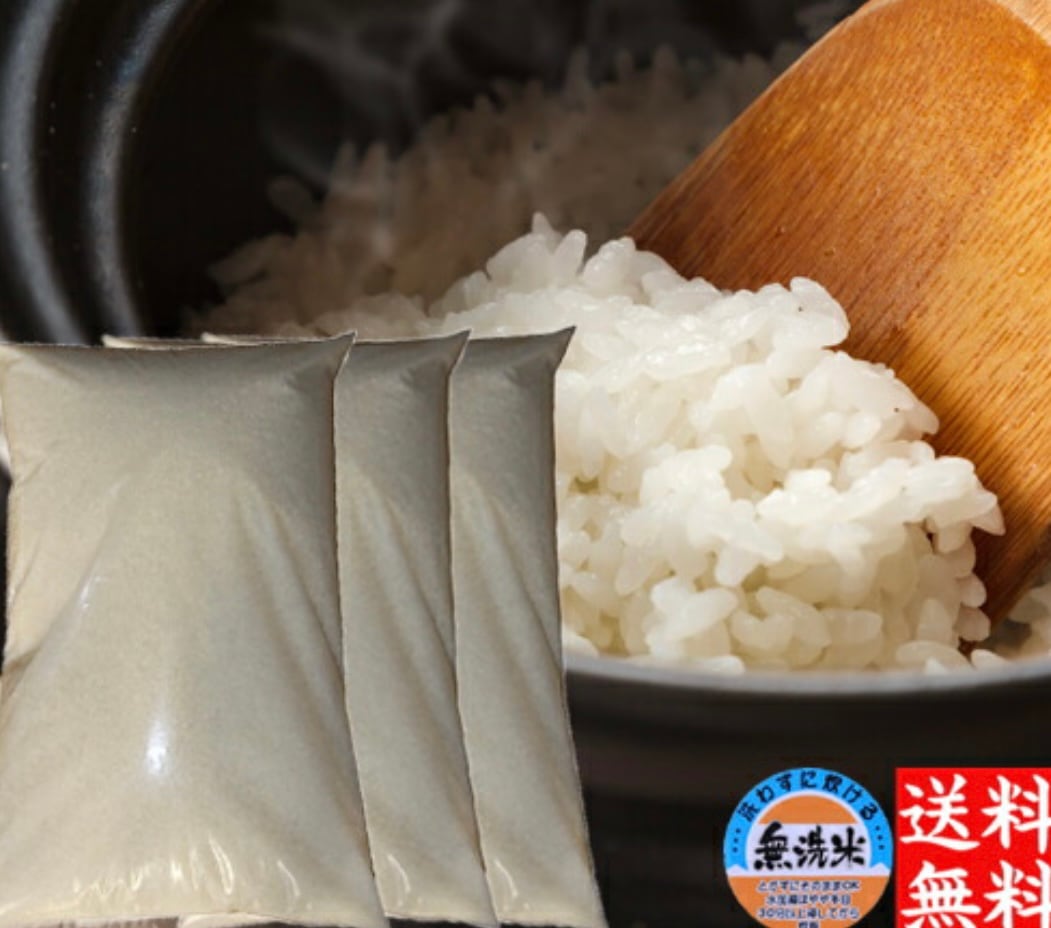 新潟県産 ブレンド米 無洗米 30kg 令和６年産 新潟産 無洗米３０キロ 米 30kg 高級米 おいしいお米 美味しいお米 産地直送 農家の米 コシヒカリの郷小出農場 22,200円