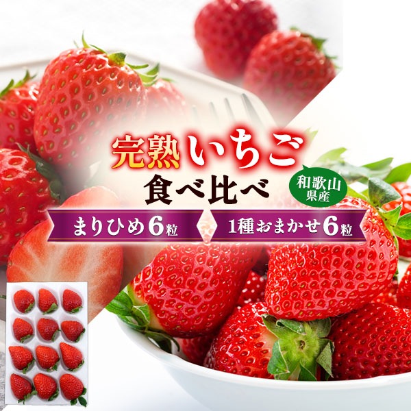 まりひめ食べ比べセット 12粒×2パック　完熟　いちご 和歌山県産　まりひめ 　贈答用 プレゼント　コクのある甘みと程よい酸味　 和歌山県オリジナルブランド苺　ギフト 果実 フルーツ