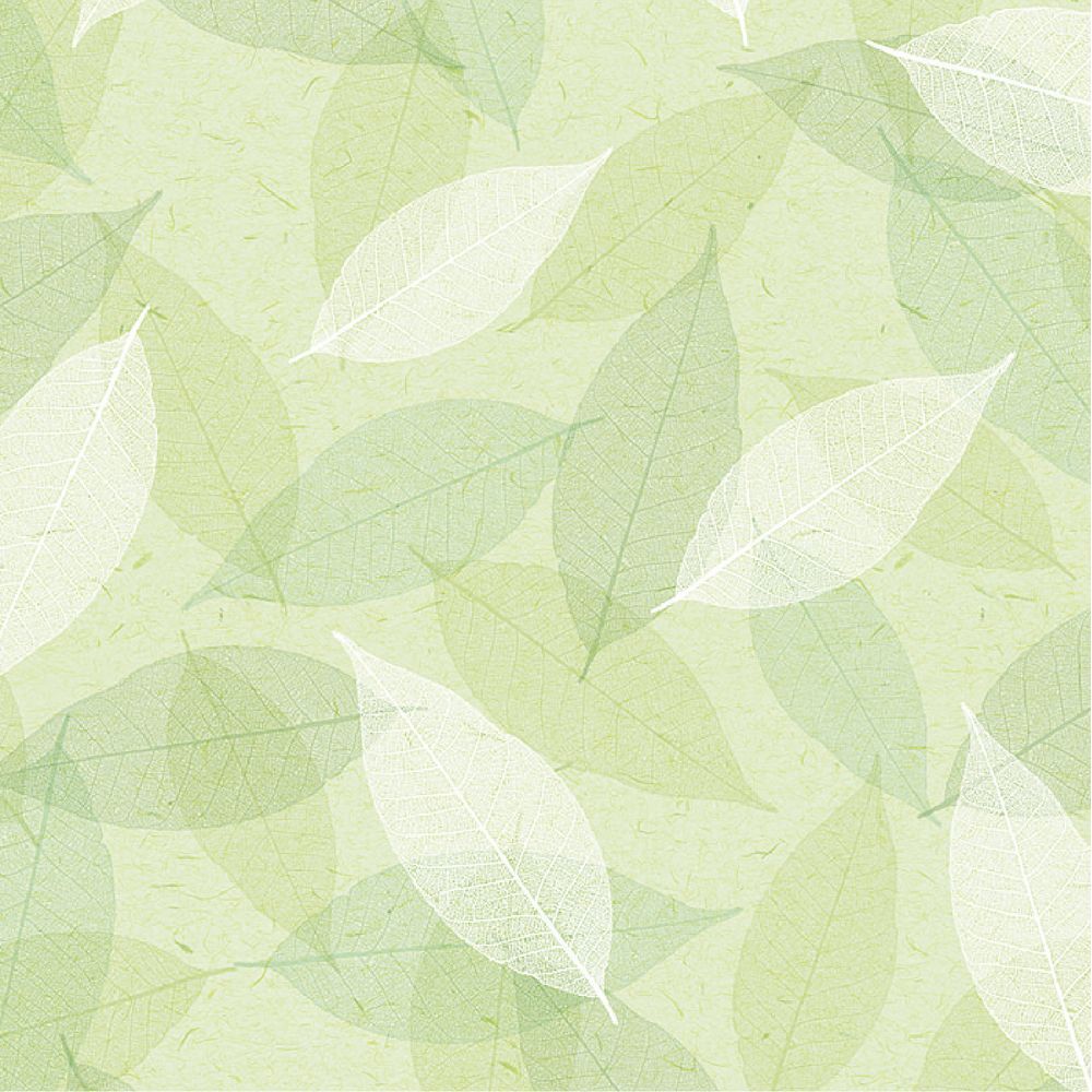 （まとめ買い）ササガワ 包装紙 花柄 シアーリーフ 半才判 50枚入 49-1540 [x3] 7,848円