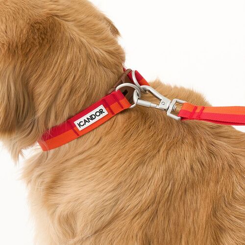 ペットリード SET商品 GENTLE COLLAR DUAL+LEASH_SUNSET 犬用ハーネス ペット用品 犬用 ドッググッズ