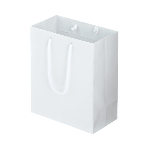 (まとめ) TANOSEE マットコート手提げ袋 S ヨコ220×タテ260×マチ幅120mm ホワイト 1パック（10枚） (×10セット)