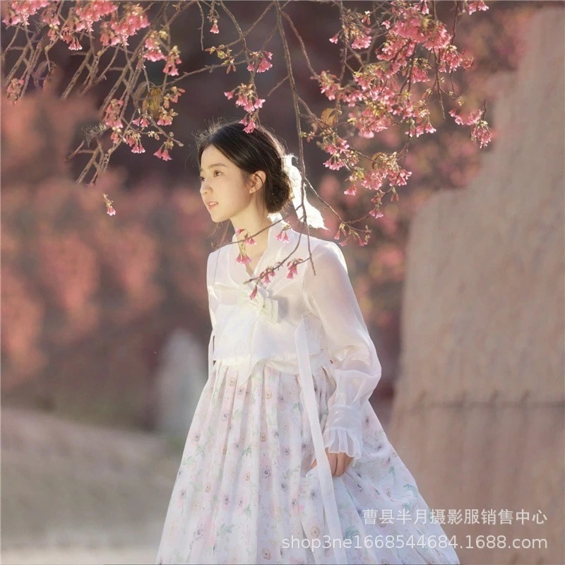 フォトスタジオ韓国韓国人女性延吉王女の写真をテーマにした雰囲気のある宮殿撮影衣装和服コスチューム着物