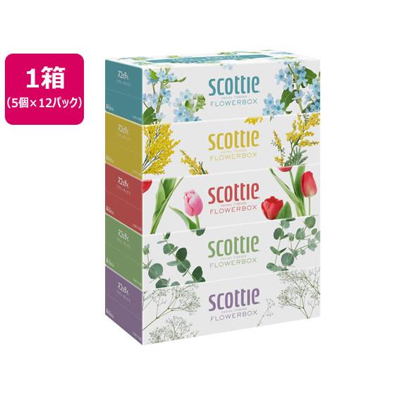 スコッティ ティシュー フラワーボックス 250組 5個×12パック クレシア 41331