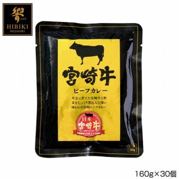 宮崎牛ビーフカレー 160gx30個 P3