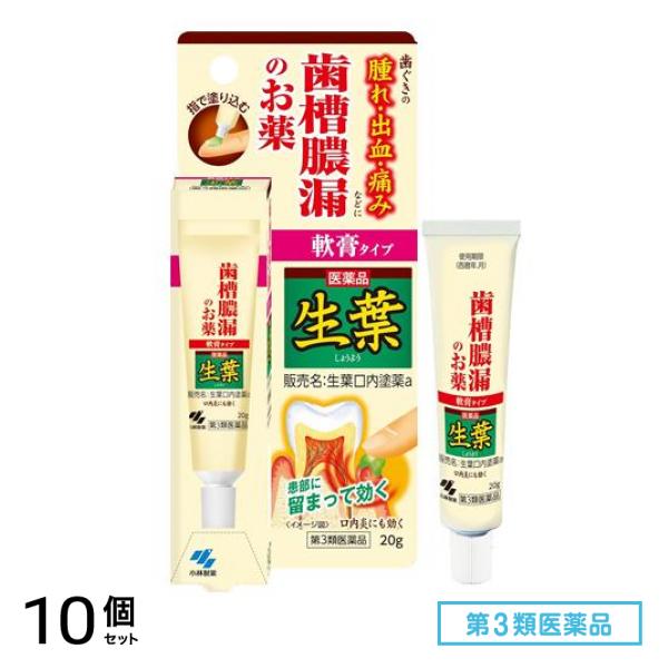 第３類医薬品 生葉(しょうよう)口内塗薬 軟膏タイプ 20g 10個セット