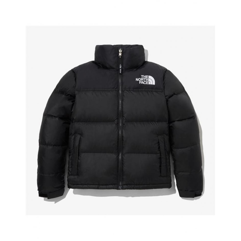 ノースフェイス 1996 エコナプシージャケット NJ1DQ85A
