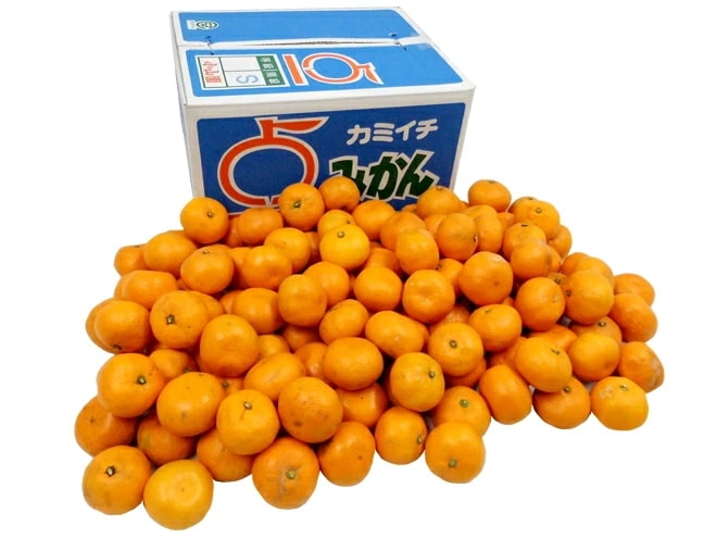 =和歌山みかん= 訳あり Sサイズ 約10kg 予約 11月末以降
