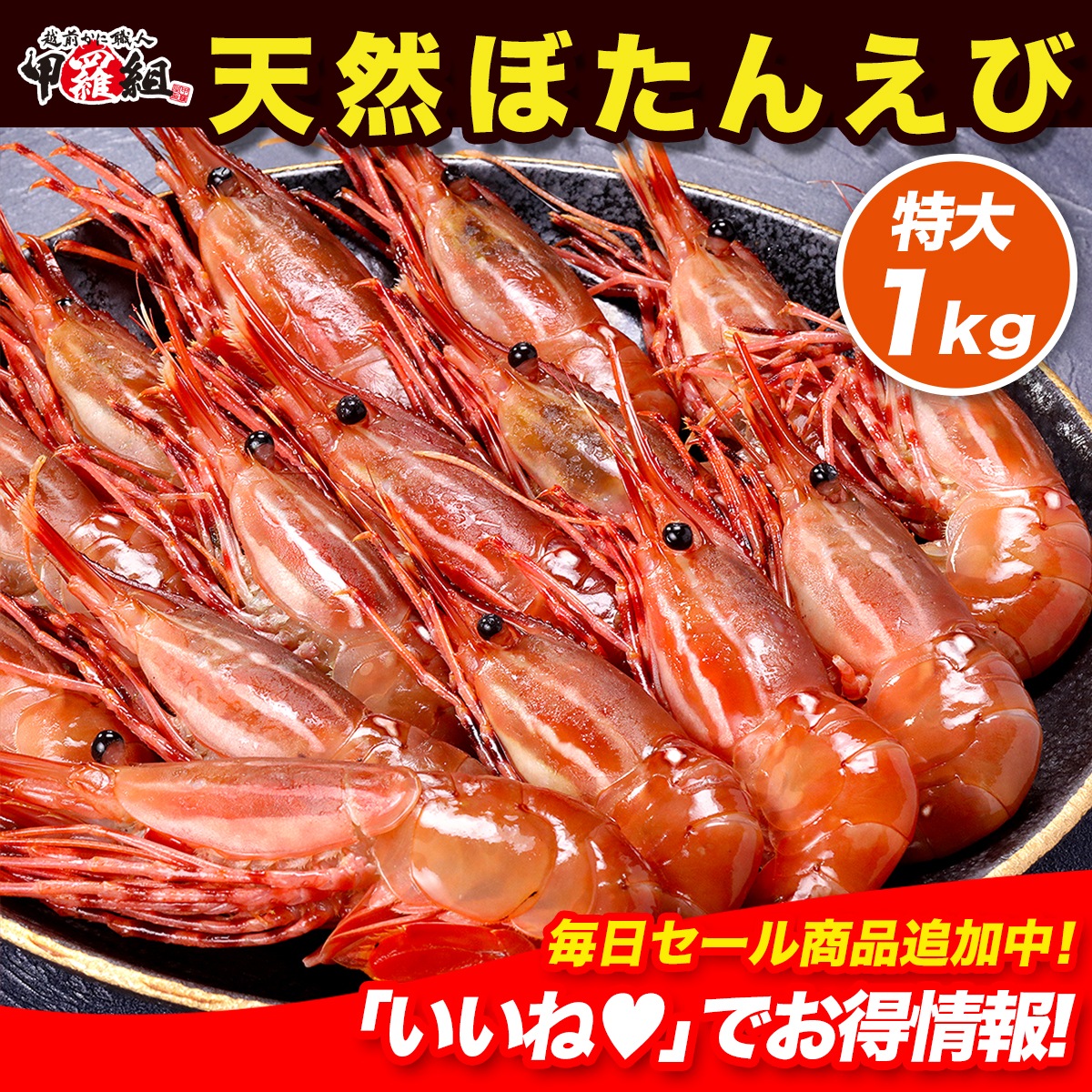 めったにない希少な超特大サイズを厳選！【カナダ産】天然ぼたんえび1kg(約15尾前後) 牡丹海老 牡丹えび ボタンエビ スポットエビ 刺身