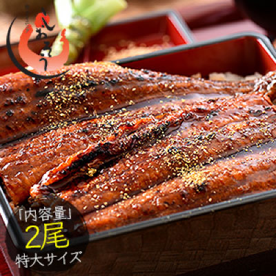 うなぎ 蒲焼き 国産 特大サイズ 200g2尾 ウナギ 鰻