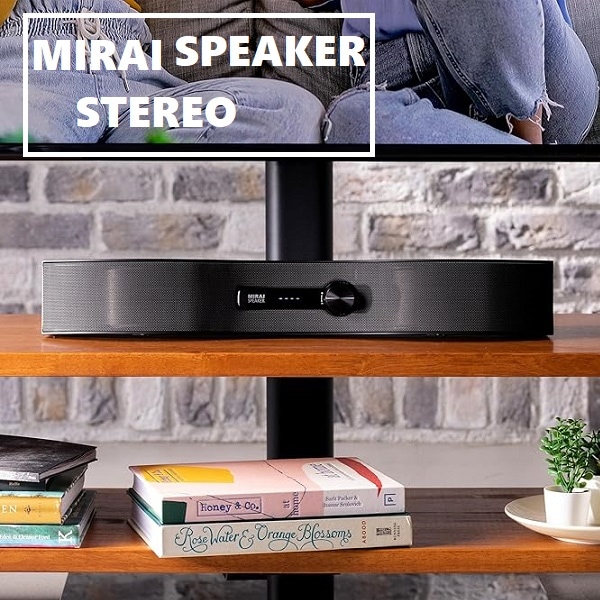 未使用 ミライスピーカー ステレオ MIRAI SPEAKER STEREO SF-MIRAIS6ATJ