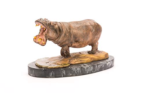 Memory Museum × Paleocraft 1/15 サイズ カバ 動物 野生動物 リアル フィギュア PVC プラモデル おもちゃ 模型 誕生日 プレゼント28cm級 台座付き