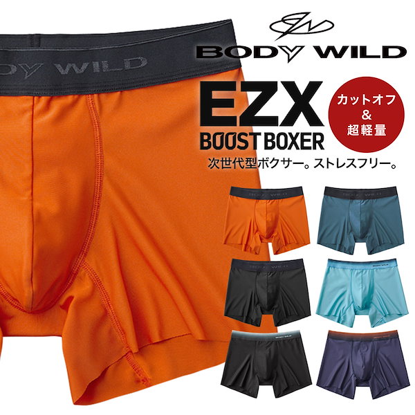 20％OFF グンゼ GUNZE ボディワイルド BODY WILD 前閉じ ブリーフ メンズ オーガニックコットン混 M L ADIEU 全2色  M-L