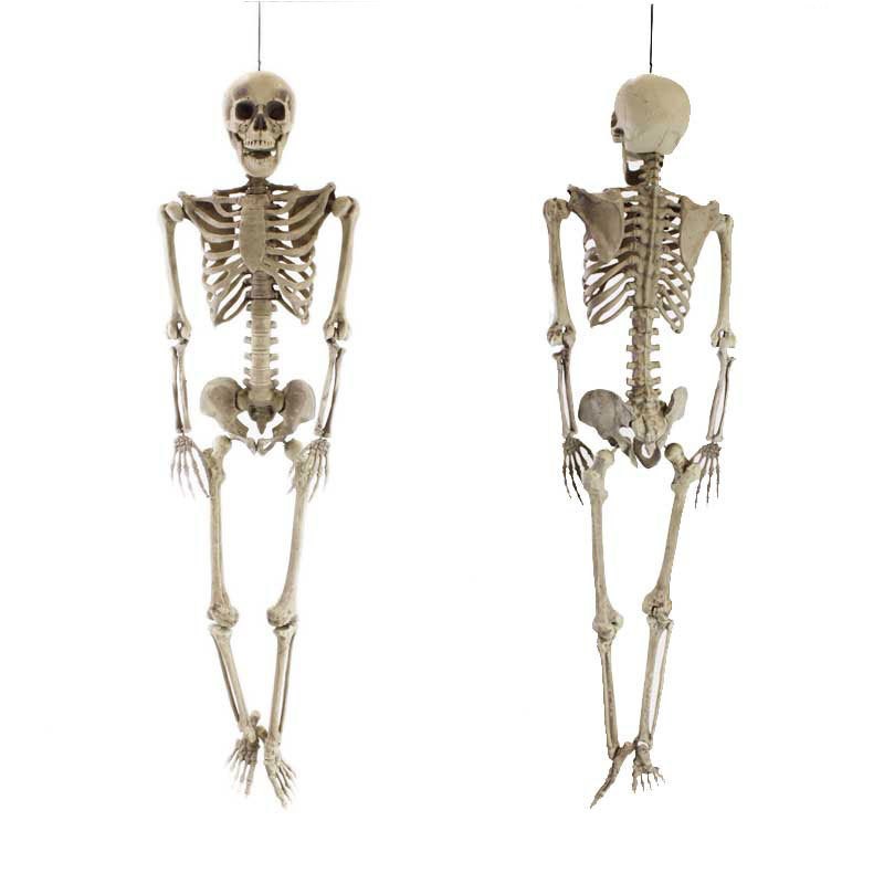 160cm等身大スケルトン 【 スカル ドクロ 怖い 吊り下げ ガイコツ ホラーディスプレイ ハンギングスケルトン 吊り飾り ハロウィン 骸骨 吊り物 雑貨 ホラーハンギング 置物 吊物 】