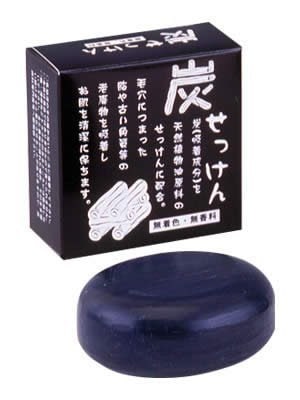 地の塩社 炭せっけん 100g ×10個セット 4,621円