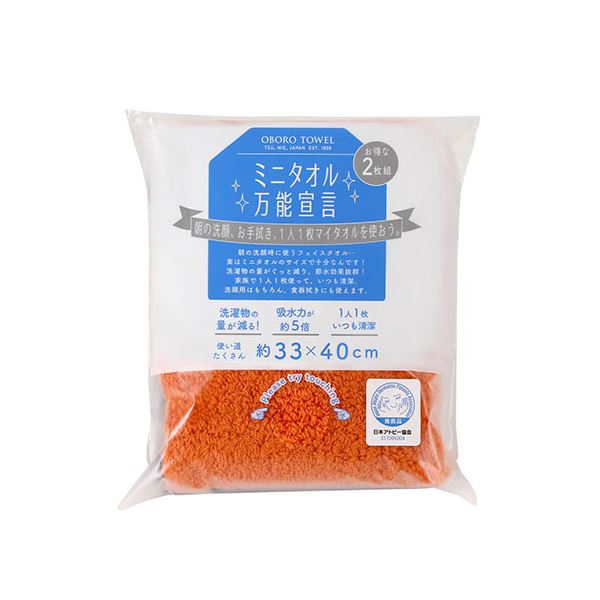 (まとめ) 本多タオル ミニタオル万能宣言 おぼろタオル ハンドタオル2枚組 ウォーム系 BN-WAR (×5セット)