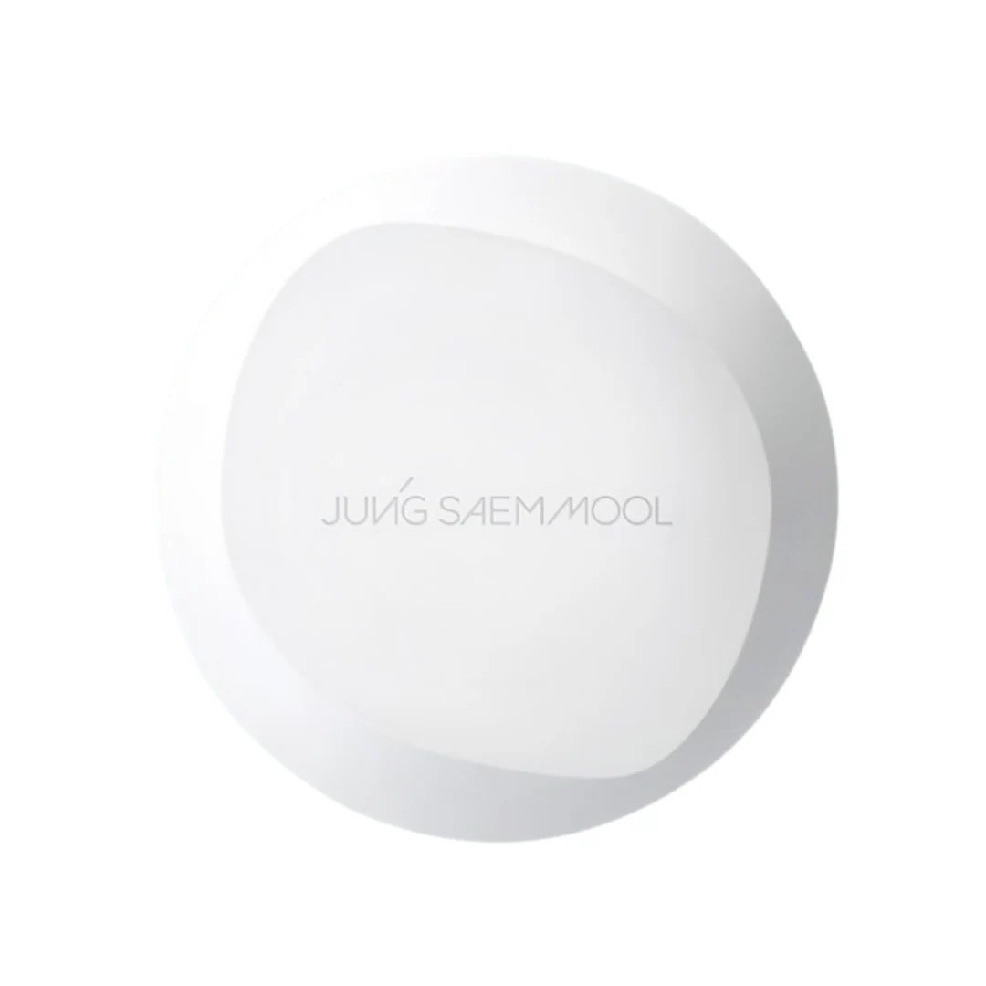 プロラスティング フィット メッシュ クッション[本品+リフィル] 5,038円