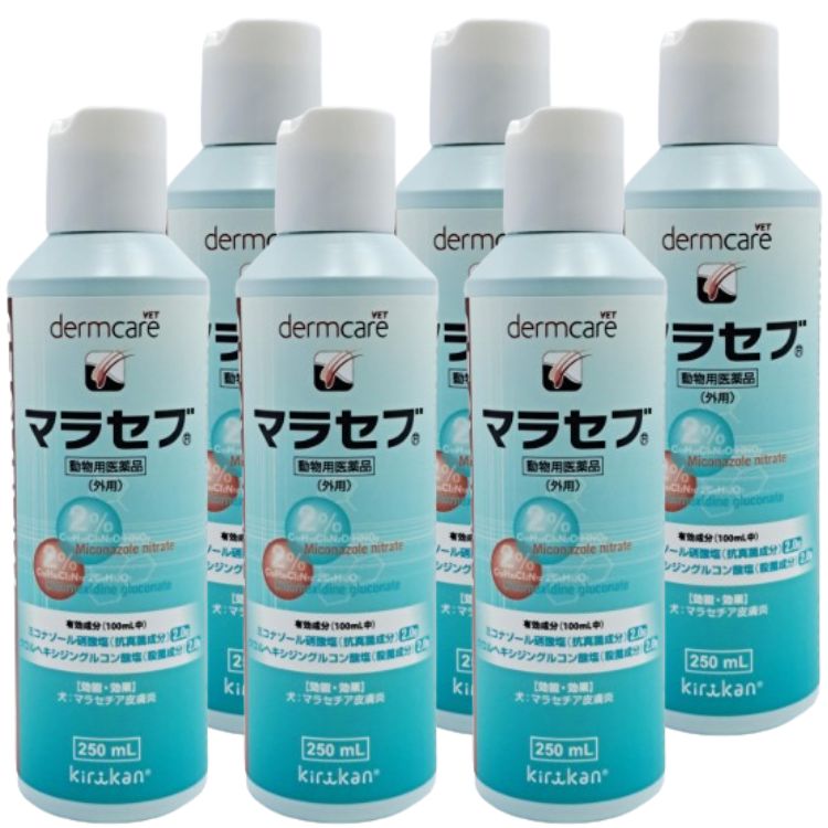 6個セット キリカン洋行 マラセブ 犬用シャンプー 250ml 皮膚病マラセブシャンプー シャンプー 動物用医薬品