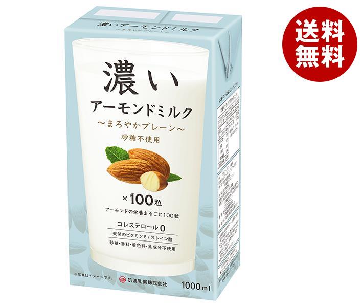筑波乳業 濃いアーモンドミルク まろやかプレーン 1L紙パック×12本入×(2ケース)
