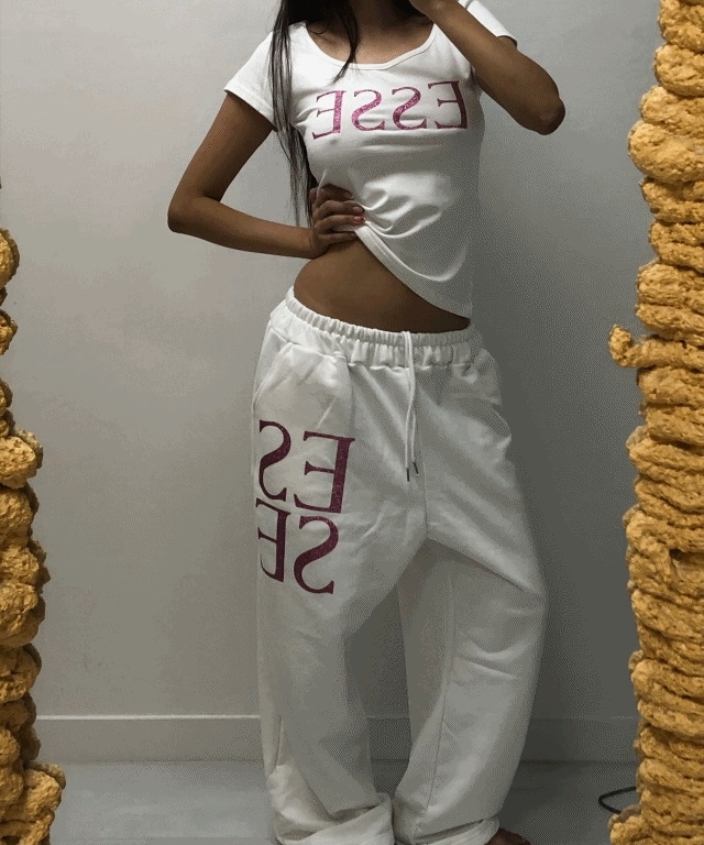 ESSE set up [3color]