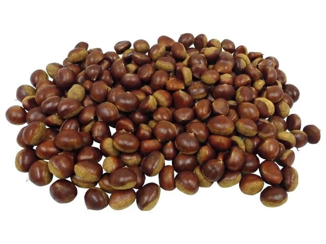 =愛媛県 JAたいき 銀寄栗= 秀品 2L 約5kg 予約 10月以降