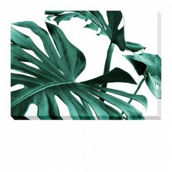 Monstera アートパネル IAP-53473