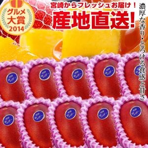 宮崎完熟マンゴー中玉10玉 宮崎からお届けする南国の香りとろける美味しさがいっぱいの完熟マンゴー地元宮崎だからこそできる鮮度＆激安でお届け致しますお中元 青果物 フルーツギフト