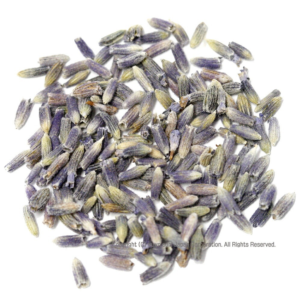 ラベンダー 業務用10Kg お茶 ラベンダー茶 ラベンダーティー ハーブティー仕入業者向けバルク原料販売イベント等にもキャンセル返品不可