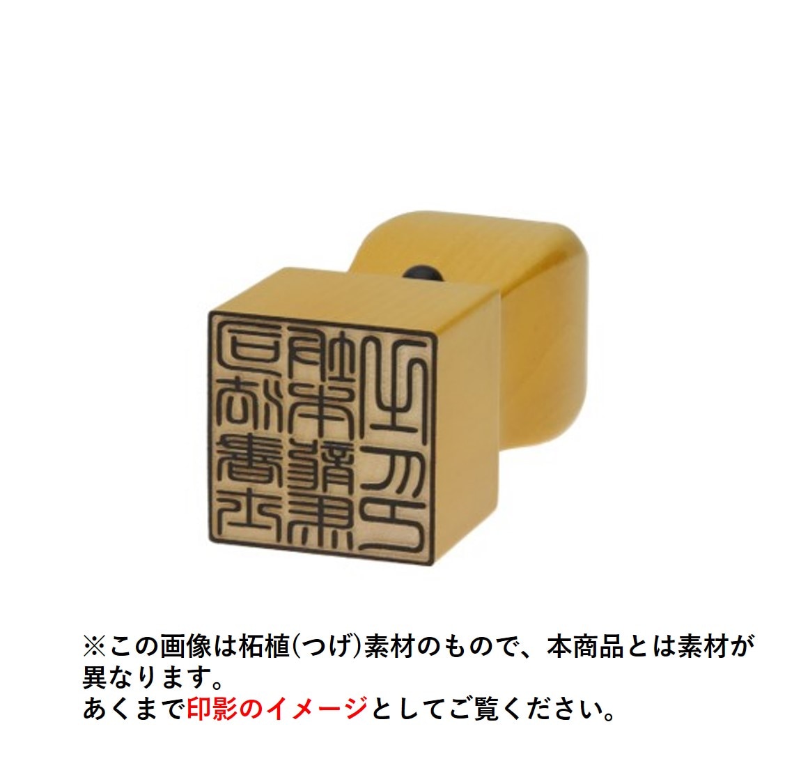 士業用印鑑 司法書士 角印 職印 資格印 先生印 ブラストチタン 天角 21mm はんこ ハンコ