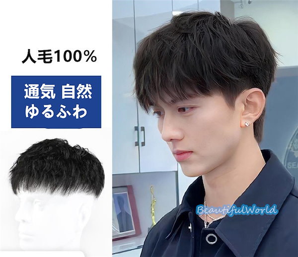 Qoo10] 人毛100％ ウィッグ メンズ トップウ