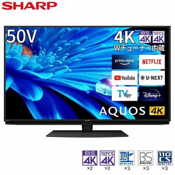 液晶テレビ 50型 地上BSCSデジタル4Kチューナー内蔵 50インチ 50V型 4T-C50EN2 AQUOS EN2 アクオス
