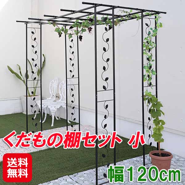 くだもの棚セット 小　パーゴラ 果樹棚 セット ぶどう棚 キウイ棚 つる棚 フルーツ 棚 スチール 転倒防止 ペグ 固定 庭 日除け 日差し対策 果物 果樹 栽