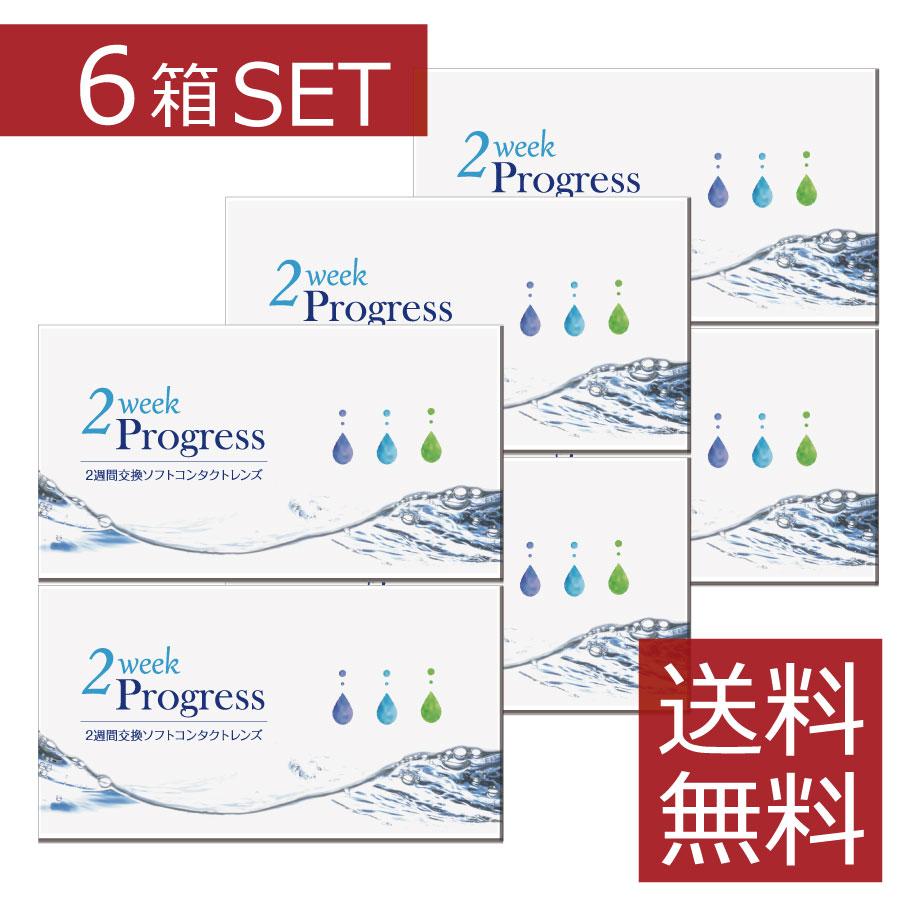 2ウィークプログレス （6枚入） 6箱 2week ソフトコンタクトレンズ 安い 2週間使い捨て　激安