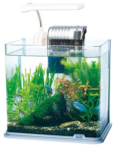 テトラ (TETRA) 水槽 ラウンドグラスアクアリウム300LEDセット 水槽 アクアリウム 熱帯魚 メダカ 金魚