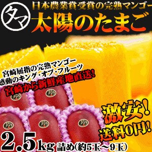 太陽のタマゴ(2.5ｋｇ詰め)最高級フルーツ宮崎の厳しい基準を乗り越えた香り色艶糖度全てが最高のプレミアム宮崎完熟マンゴー 宮崎マンゴー太陽のタマゴ お中元ギフト