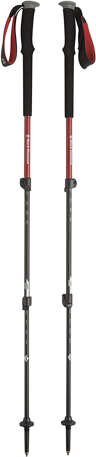 トレイル BD82328