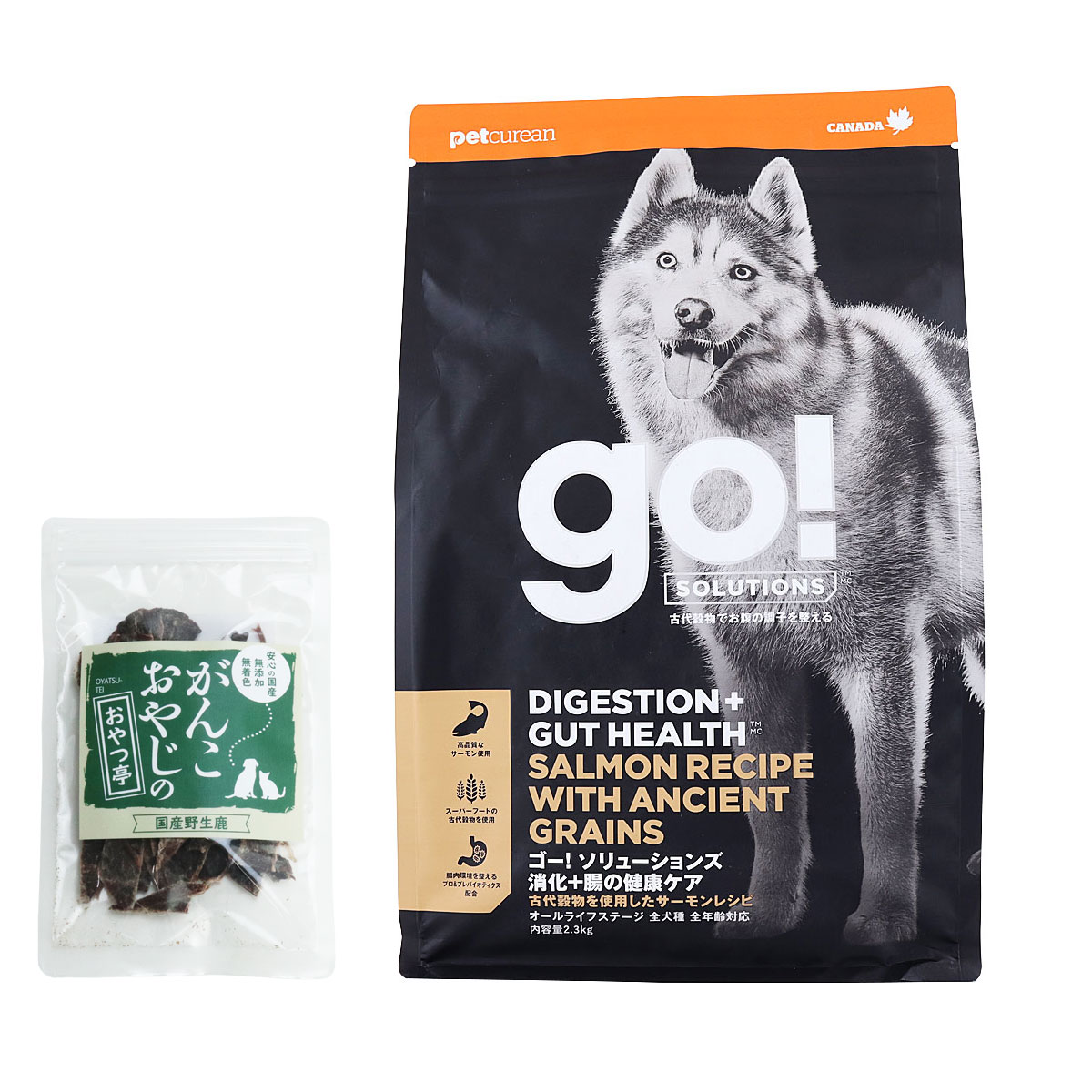 GO! ゴー ソリューションズ 消化+腸の健康ケア 古代穀物 サーモン 2.3kg【国産鹿肉ジャーキー(お試しサイズ)付き】ドッグフード