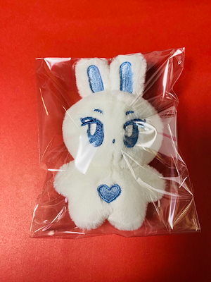 Qoo10] Aespa カリナ マスター ぬいぐる