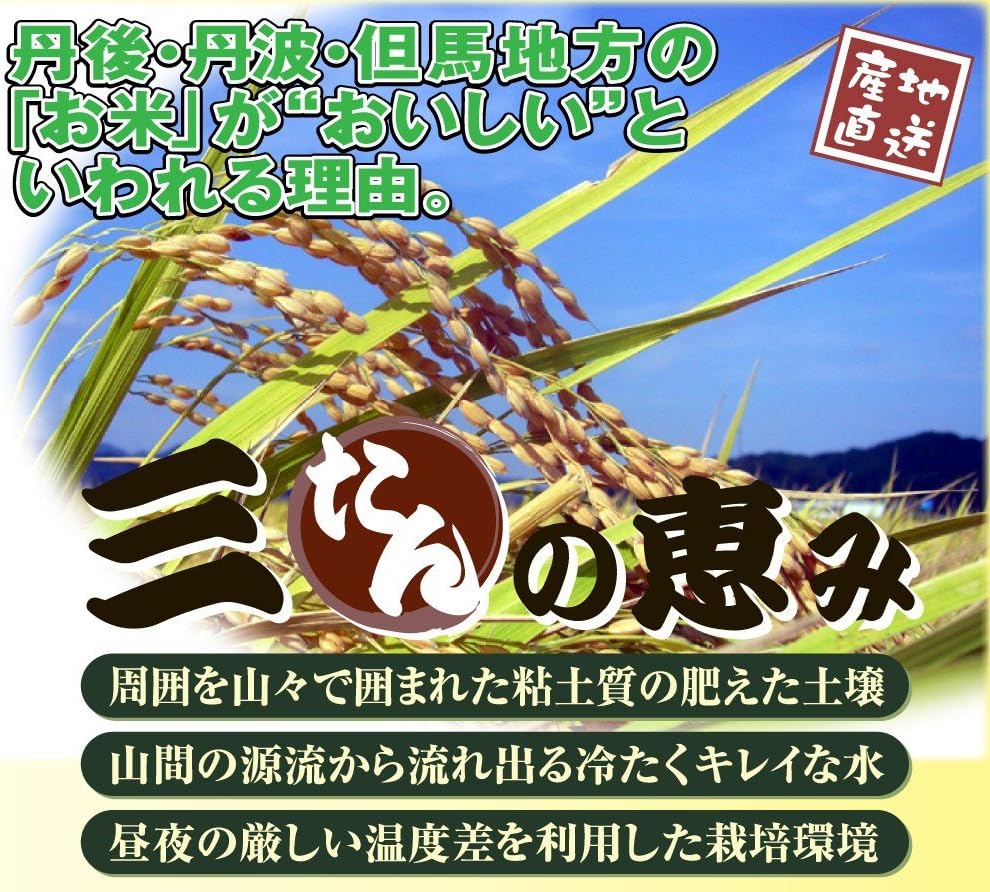 新米 当日精米お米 1kg コシヒカリ 白米 5kg×2袋 丹波ささ山産 特別栽培米 7.5割農薬減 兵庫県 白米 一等米 令和7年産