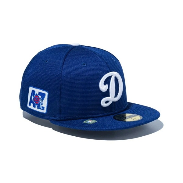NEWERA CAP ニューエラ キャップ 59FIFT 2025 MLB Spring Training ロサンゼルス・ドジャース ブルー メンズ 男性 帽子 ハット 小物 国内正規品 正規取扱店