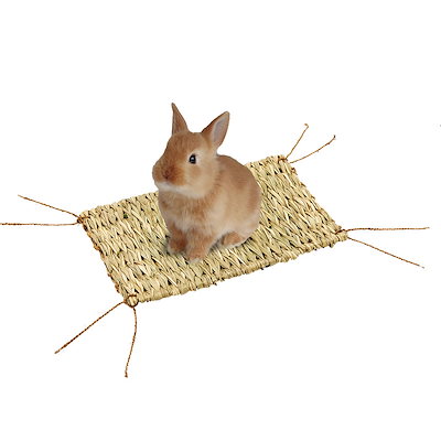 他サイト： うさちゃんの自然派マット　Ｌ　小動物　牧草マット　牧草用品　ＣＲＣ50―20―53―20―00の商品画像