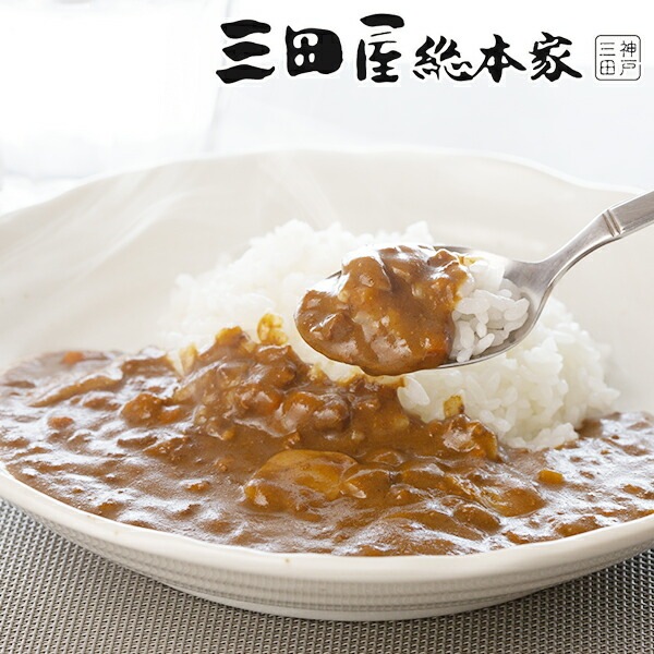 ギフト カレー カレーセット 送料無料 「三田屋総本家」国産挽き肉のキーマカレー10食入 ご自宅用 4560077『SKT』 詰め合わせ お取り寄せグルメ セット 誕生日 お祝い 内祝い【内祝い