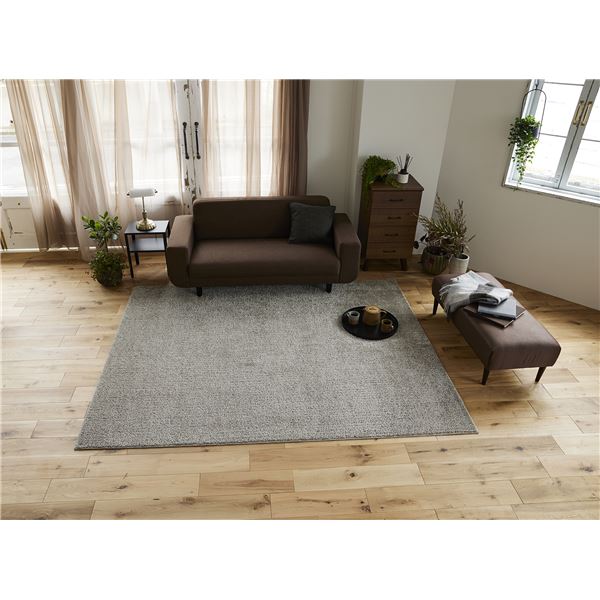 スミノエ 洗える ラグ ルフレ 約幅190x長さ240cm グレージュ 日本製