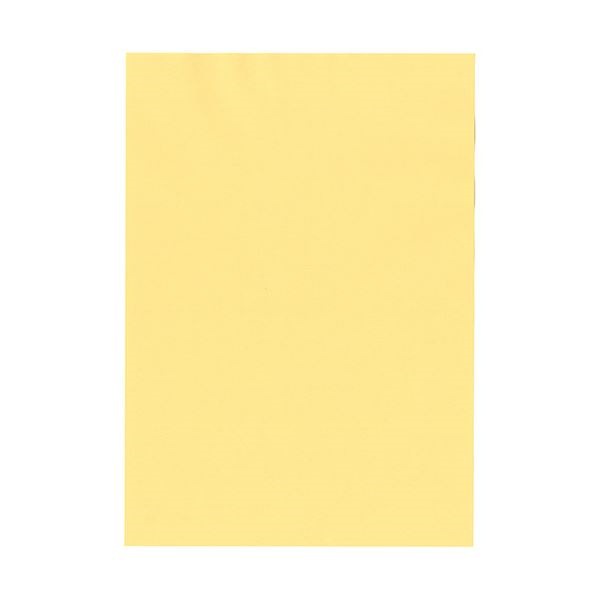 （まとめ）北越コーポレーション 紀州の色上質A3Y目 薄口 クリーム 1冊（500枚）[x3セット]