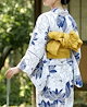 蓮の花ネイビー